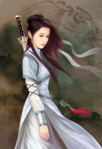 小鎮飛花